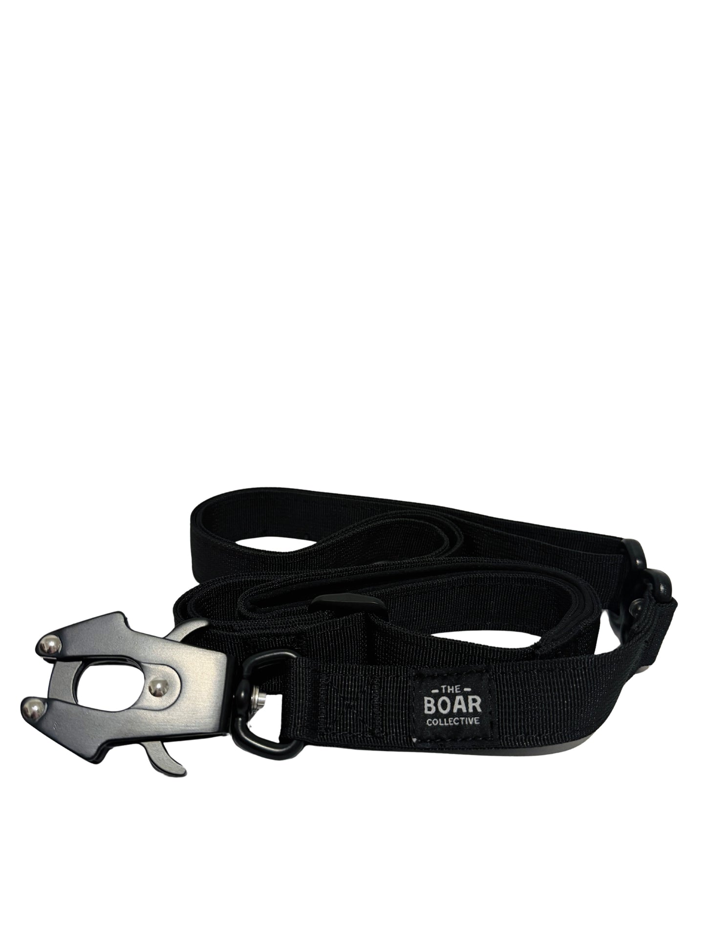 Quick Release Lead with 360 swivels