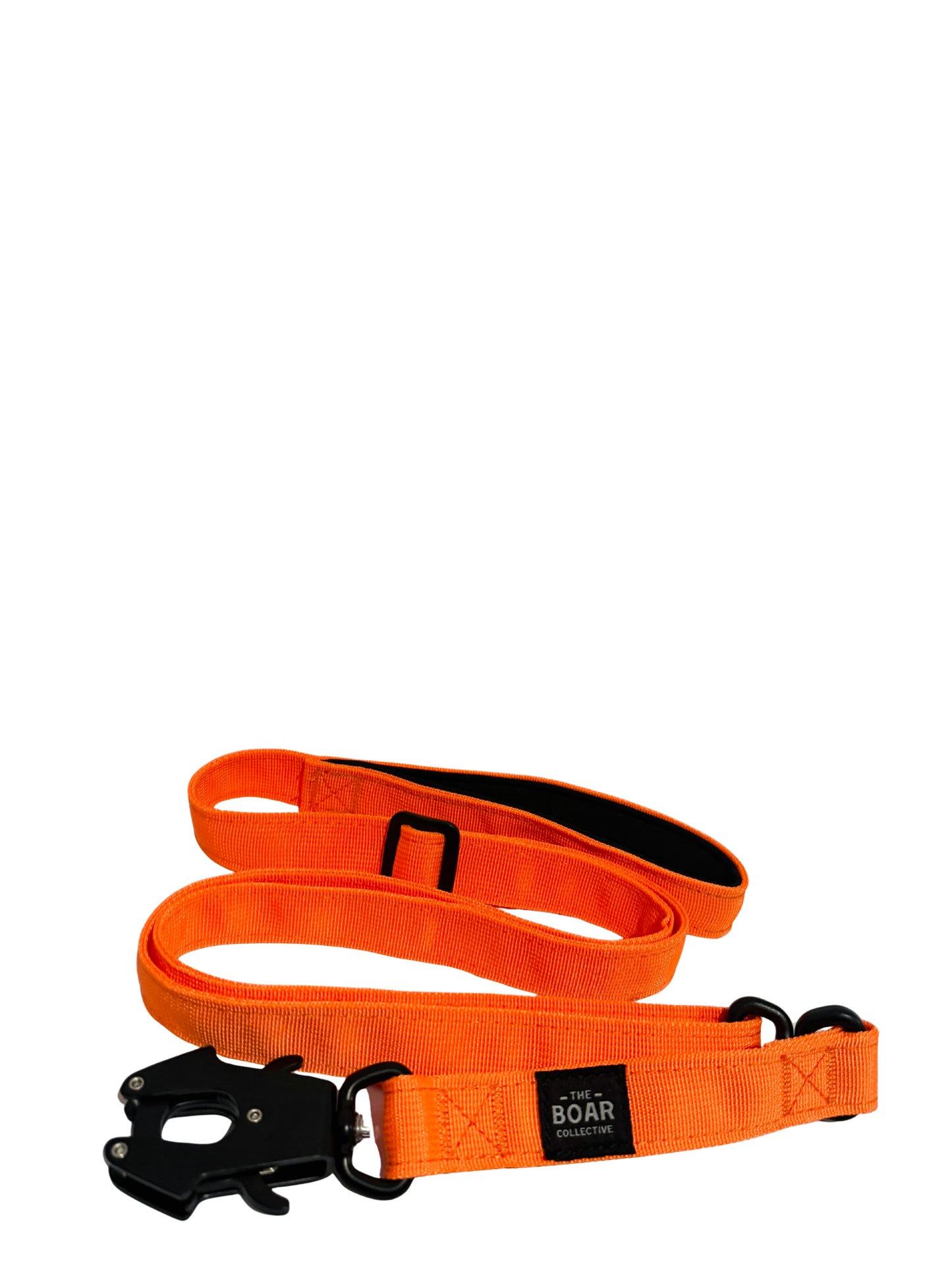 Quick Release Lead with 360 swivels